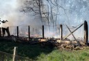 Incêndio destrói galpão de recicláveis